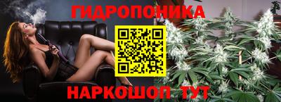 соль ск Будённовск